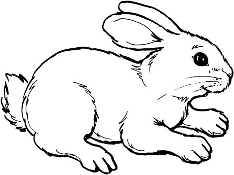 free clip art rabbit|free printable rabbit images.